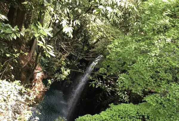 高千穂峡の写真・動画_image_320460