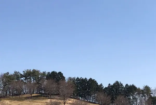 伊香保グリーン牧場の写真・動画_image_320463