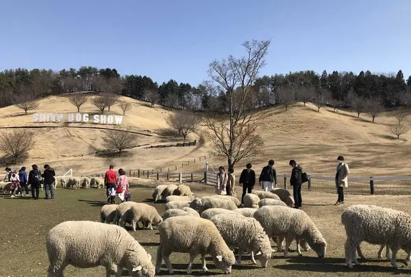 伊香保グリーン牧場の写真・動画_image_320464