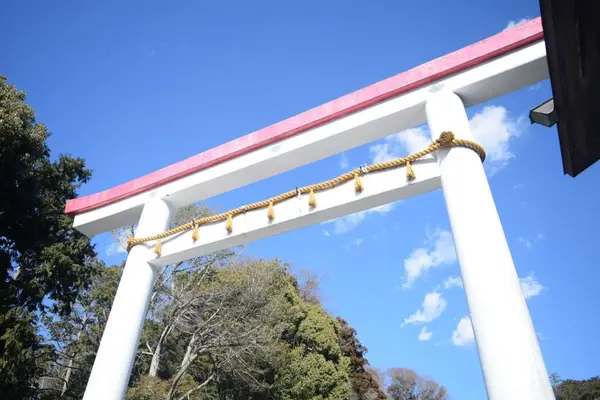 鎌倉宮の写真・動画_image_320467