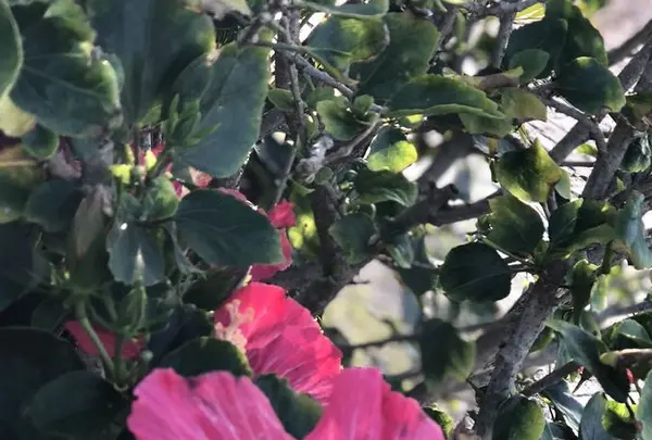 ANAインターコンチネンタル万座ビーチリゾート ダイビングセンターの写真・動画_image_320486