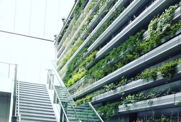 ギンザ シックス（GINZA SIX）の写真・動画_image_320521