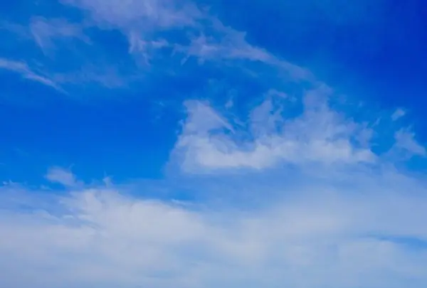 神威岬の写真・動画_image_320541