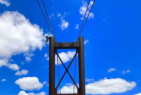 星のブランコの写真・動画_image_320557