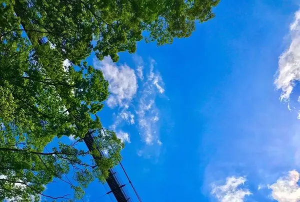 星のブランコの写真・動画_image_320560