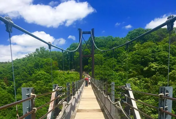 星のブランコの写真・動画_image_320561