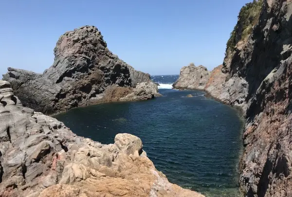 千両池の写真・動画_image_320563