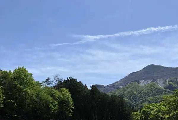 羊山公園の写真・動画_image_320617