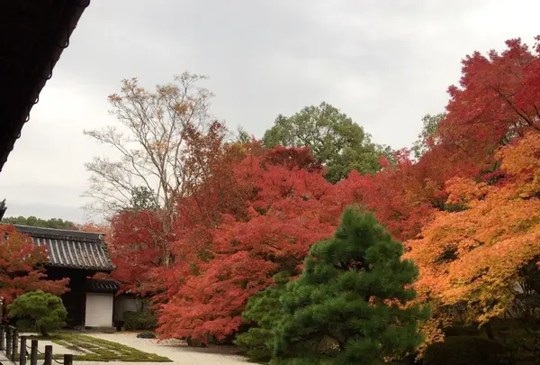 南禅寺の写真・動画_image_320663