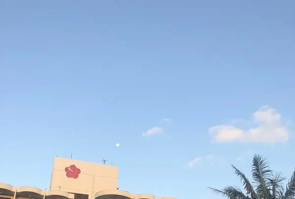 宮古島東急リゾートの写真・動画_image_320665