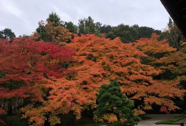南禅寺の写真・動画_image_320669