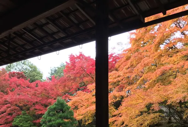 南禅寺の写真・動画_image_320670