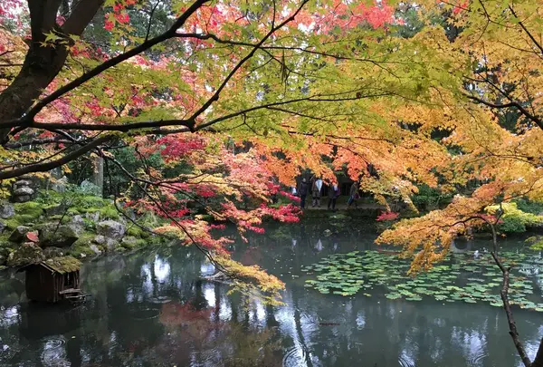 南禅寺の写真・動画_image_320671