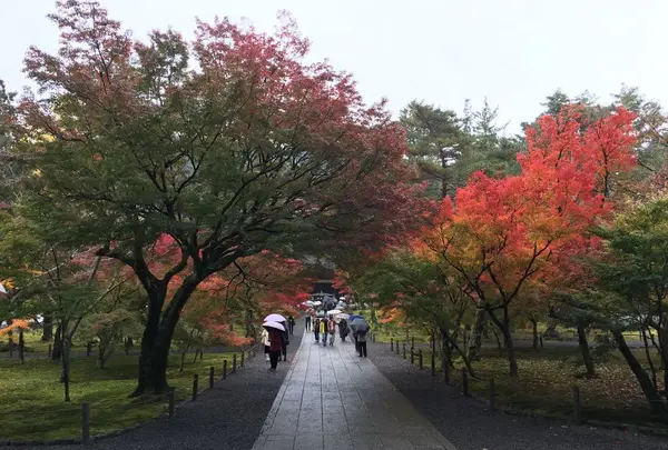 南禅寺の写真・動画_image_320672