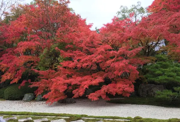 南禅寺の写真・動画_image_320683