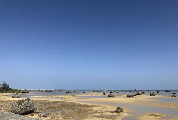 佐和田の浜の写真・動画_image_320701