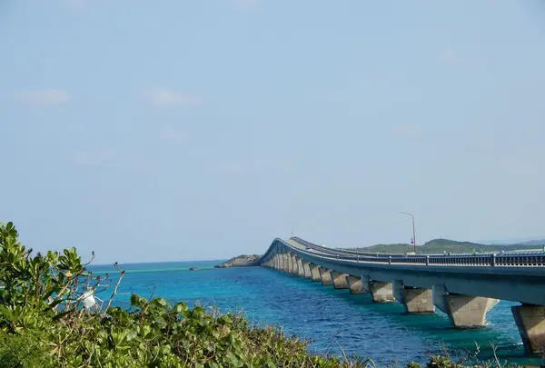池間大橋の写真・動画_image_320728