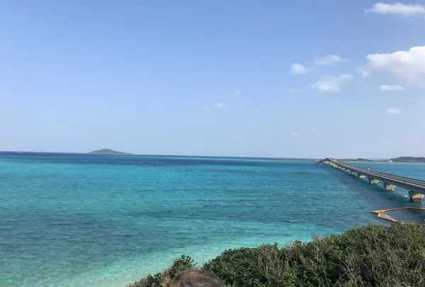 池間大橋の写真・動画_image_320729