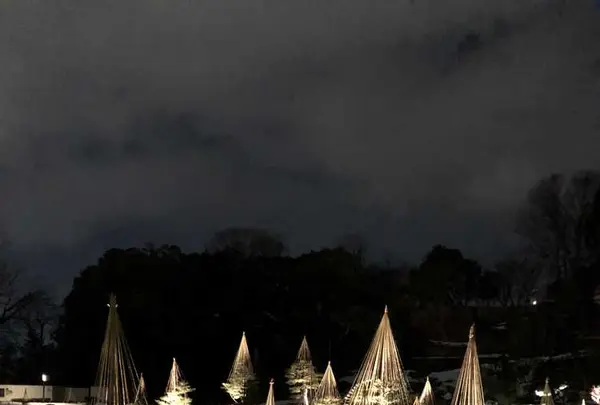 兼六園の写真・動画_image_320757