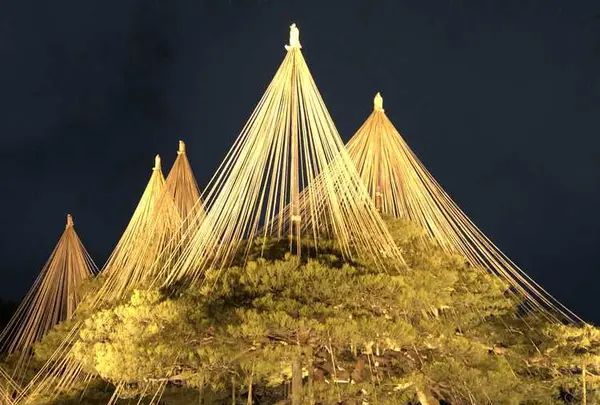 兼六園の写真・動画_image_320758