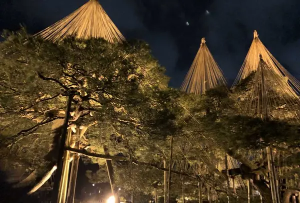 兼六園の写真・動画_image_320759