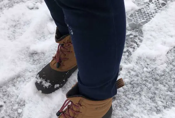 白川郷の写真・動画_image_320795