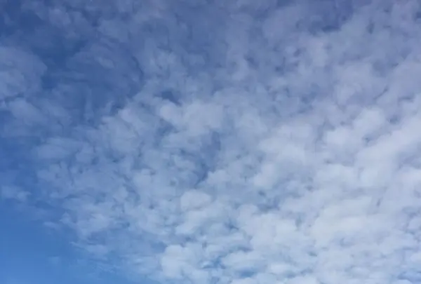 ラコリーナ近江八幡の写真・動画_image_320819