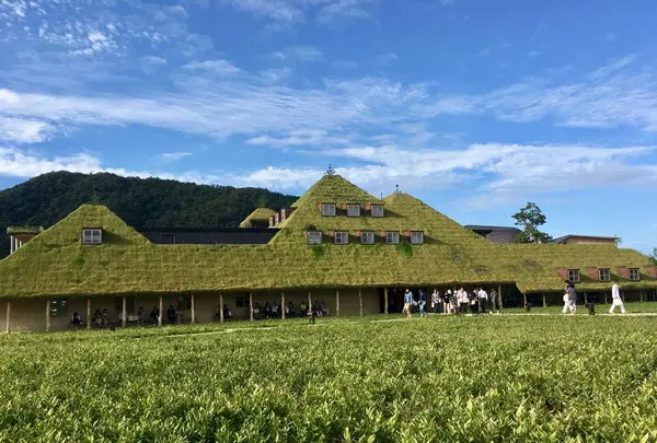 ラコリーナ近江八幡の写真・動画_image_320820