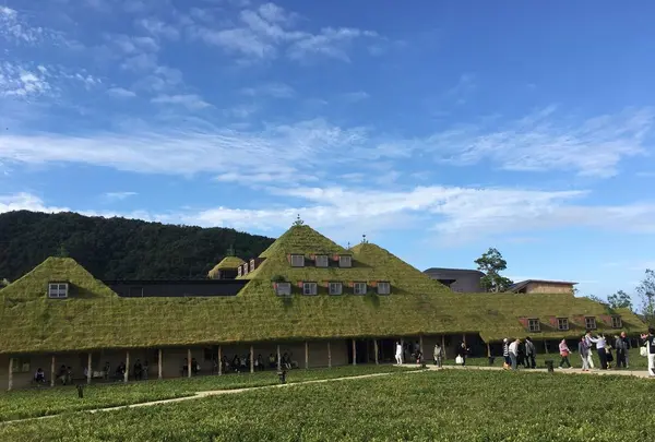 ラコリーナ近江八幡の写真・動画_image_320822