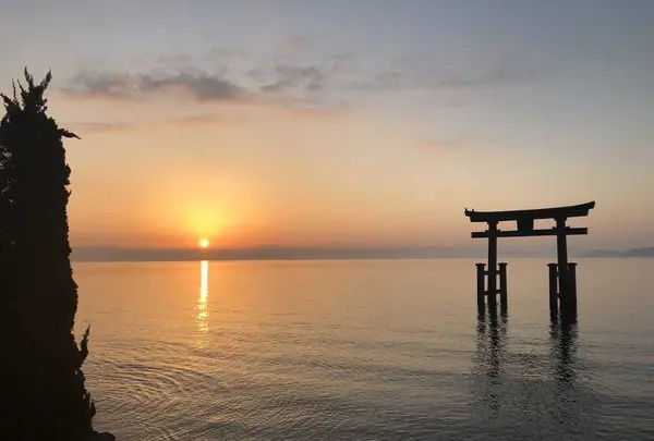 白鬚神社の写真・動画_image_320999