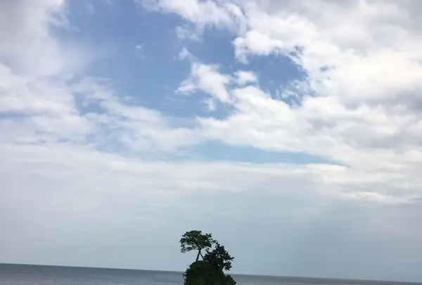 国定公園 雨晴海岸の写真・動画_image_321010