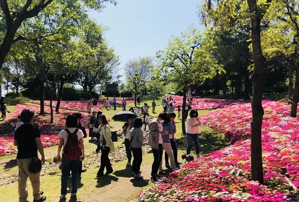 淡路島国営明石海峡公園の写真・動画_image_321058