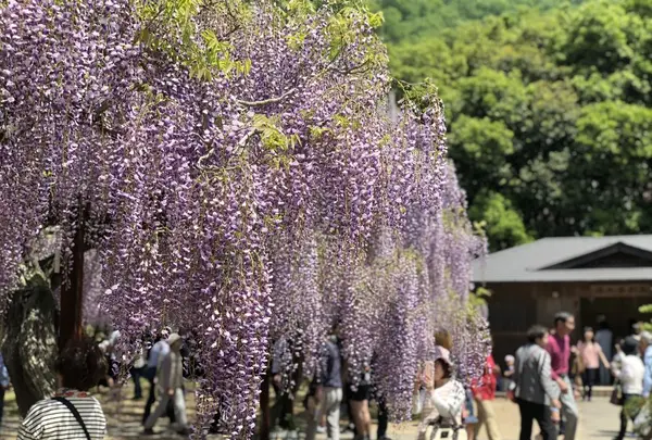 和気町歴史民俗資料館の写真・動画_image_321125