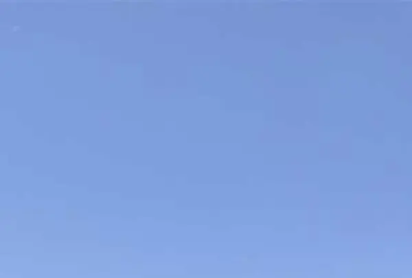 元乃隅神社の写真・動画_image_321130