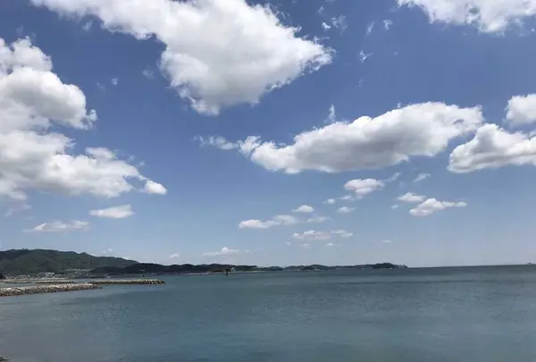 吉良ワイキキビーチの写真・動画_image_321143