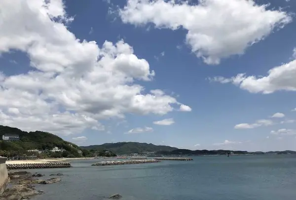 吉良ワイキキビーチの写真・動画_image_321144