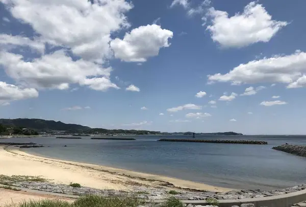 吉良ワイキキビーチの写真・動画_image_321146