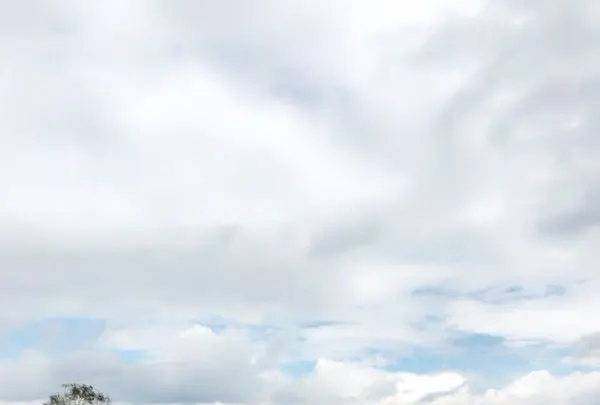 北海道箱根牧場の写真・動画_image_321147