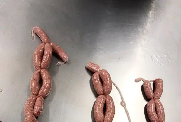 北海道箱根牧場の写真・動画_image_321150