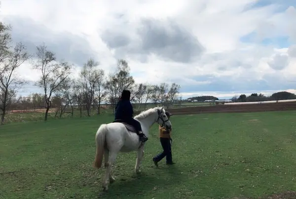 北海道箱根牧場の写真・動画_image_321151