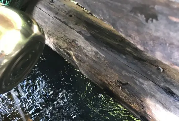 大塩の写真・動画_image_321175