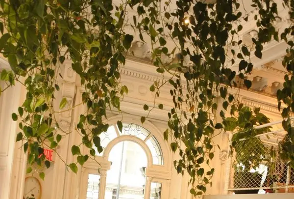 モントリオールの写真・動画_image_321243