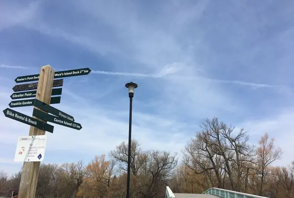 トロントアイランド（Toronto Island）の写真・動画_image_321273