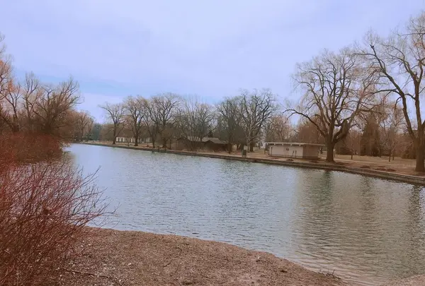 トロントアイランド（Toronto Island）の写真・動画_image_321275