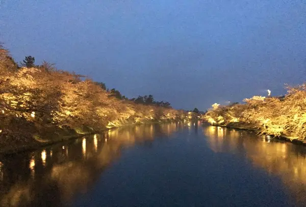 弘前公園（鷹揚公園）の写真・動画_image_321378