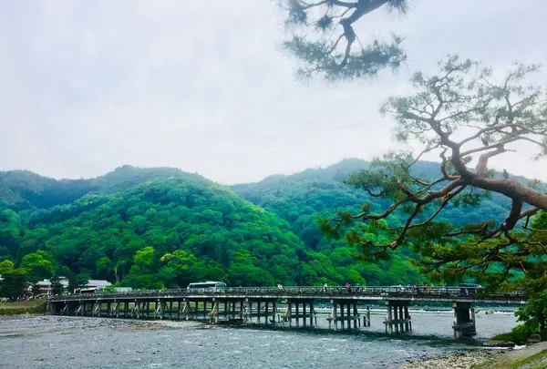 渡月橋の写真・動画_image_321428