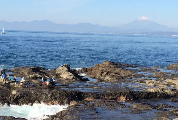 江の島の写真・動画_image_321447