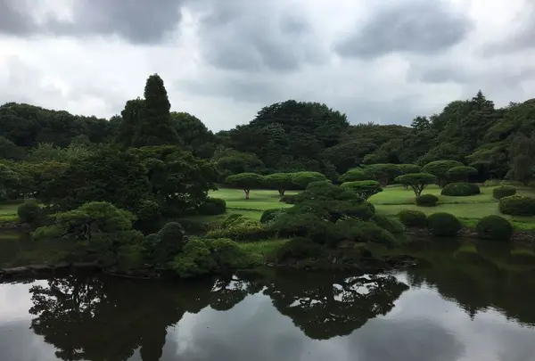 新宿御苑の写真・動画_image_321504