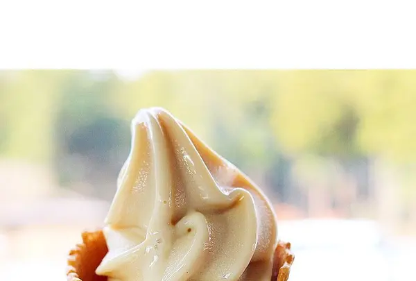 一夜城ヨロイヅカ・ファームの写真・動画_image_321564