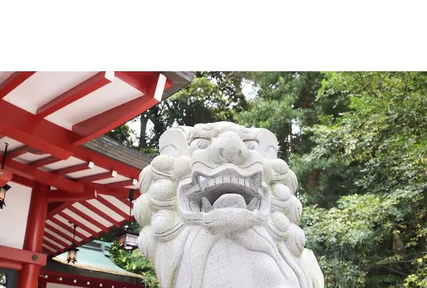 來宮神社の写真・動画_image_321580